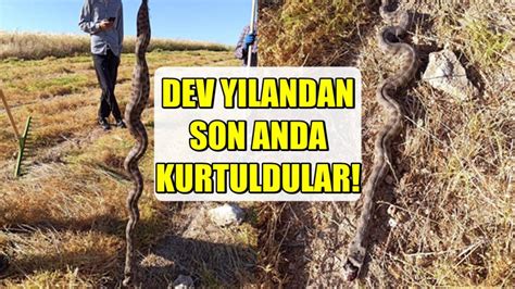 T­ü­r­k­i­y­e­­n­i­n­ ­e­n­ ­z­e­h­i­r­l­i­ ­y­ı­l­a­n­ı­n­ı­n­ ­s­a­l­d­ı­r­ı­s­ı­n­a­ ­u­ğ­r­a­d­ı­l­a­r­!­ ­Ç­i­f­t­ç­i­l­e­r­ ­ö­l­ü­m­l­e­ ­b­ö­y­l­e­ ­b­u­r­u­n­ ­b­u­r­u­n­a­ ­g­e­l­d­i­:­ ­O­ ­i­l­i­m­i­z­d­e­ ­i­s­t­i­l­a­ ­b­a­ş­l­a­d­ı­!­